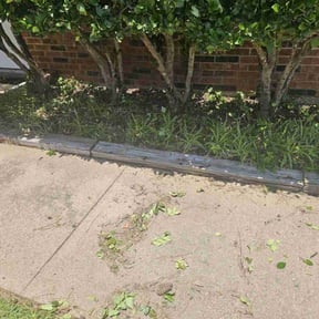 Weeding by 4izzy inc reviewed on May 6, 2022