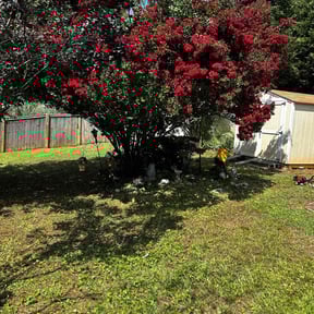 Cleanups by Calleigh&#039;s Enterprise reviewed on June 19, 2025