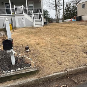 Leaf Removal by Rios Enterprise Lawn Mowing Services LLC reviewed on July 16, 2022