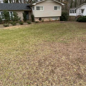 Cleanups by They see me mowing reviewed on August 9, 2024