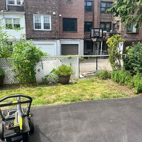 Bush Trimming by Torres Lawn Care reviewed on October 23, 2021