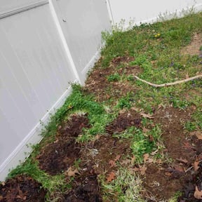 Leaf Removal by Green City Landscaping Co LLC reviewed on April 12, 2025