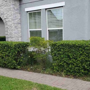 Bush Trimming by Concrete woods reviewed on April 16, 2025