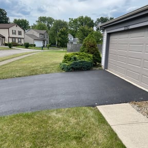 Bush Trimming by MJ'S Lawn service reviewed on September 15, 2024