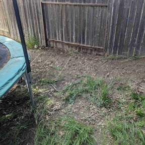 Leaf Removal by ABC Lawn and Waterscapes reviewed on May 10, 2022