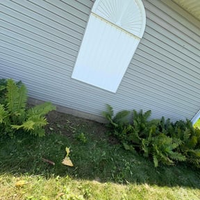 Flower Bed Weeding by We do it better reviewed on July 3, 2025