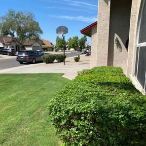 Bush Trimming by MVP Lawn & Landscaping reviewed on January 14, 2022