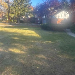 Leaf Removal by Green Earth Lawn and snow LLC reviewed on May 11, 2025