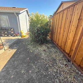 Bush Trimming by Hauling & Lawn Bros reviewed on April 15, 2025