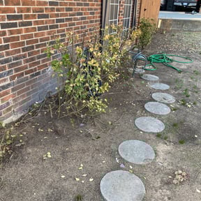 Bush Trimming by TruGreen LawnCare reviewed on April 4, 2025