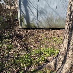Cleanups by Azamar landscaping & construction reviewed on June 30, 2022