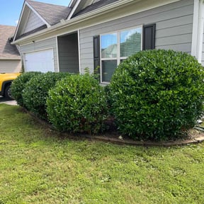 Landscaping by Rich's Renovations reviewed on July 8, 2022