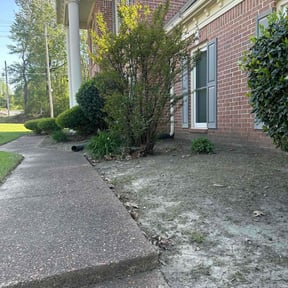 Flower Bed Weeding by Lawncare By the beach reviewed on August 9, 2022