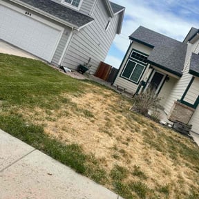 Cleanups by I Got You, LLC reviewed on September 15, 2024