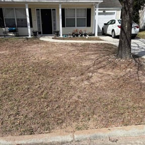 Leaf Removal by Polish up reviewed on October 27, 2022