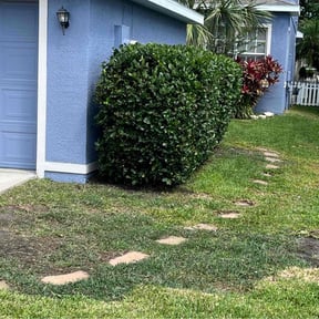 Bush Trimming by Professional Home Maintenance reviewed on June 13, 2022