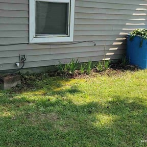 Bush Trimming by Longview lawns and Land scaping LLC reviewed on August 3, 2022