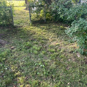 Cleanups by ARG landscape & Lawn LLC reviewed on August 14, 2025