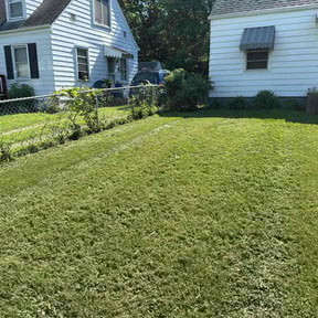 Bush Trimming by Legacy landscape llc reviewed on November 24, 2024