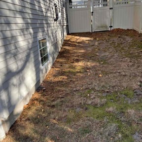 Leaf Removal by Rondall Oliver Lawn Service reviewed on July 28, 2022