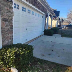 Bush Trimming by McNeil's lawn care & maintenance reviewed on August 17, 2024