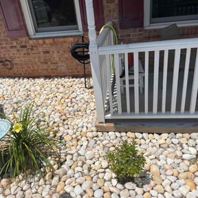 Flower Bed Weeding by Early Bird Lawn Care LLC reviewed on July 6, 2022
