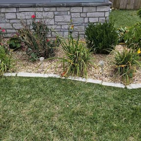 Flower Bed Weeding by LSLTDallas/FortWorthTruGreen reviewed on April 28, 2025