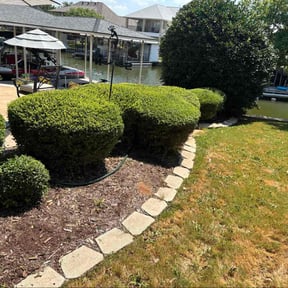 Bush Trimming by SLC Lawn Artisty reviewed on April 9, 2025