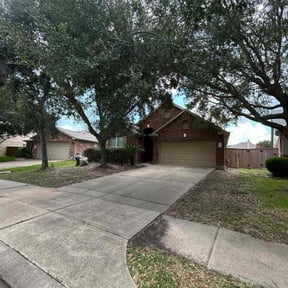 Bush Trimming by Martínez landscaping reviewed on November 23, 2024