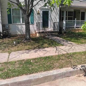 Leaf Removal by LSLTDallas/FortWorthTruGreen reviewed on July 18, 2025