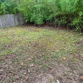 Leaf Removal by AP Landscapers reviewed on October 24, 2024