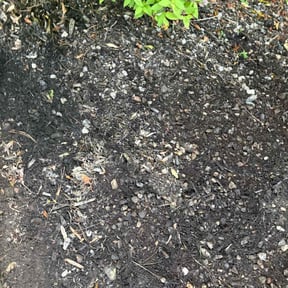 Flower Bed Weeding by Caesar’s Premier Landscaping reviewed on August 5, 2022