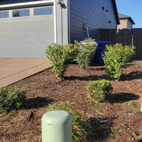 Bush Trimming by Robert Norton’s Lawn Care reviewed on November 27, 2024