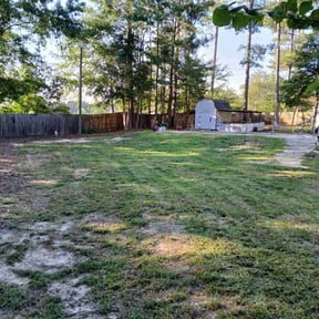 Bush Trimming by Limelight Lawns LLC reviewed on January 11, 2025
