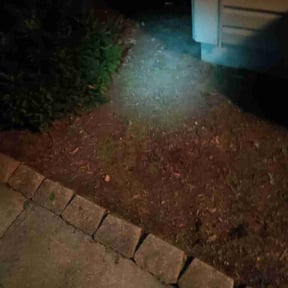 Flower Bed Weeding by Clean cuts reviewed on November 10, 2022