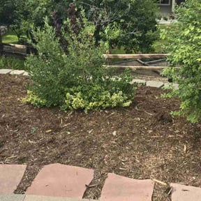 Flower Bed Weeding by K&D land maintenance reviewed on April 26, 2023