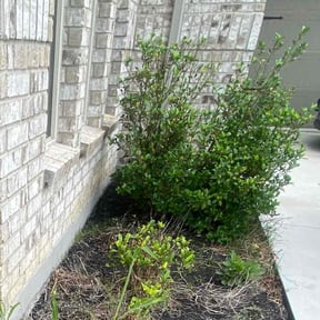 Flower Bed Weeding by We Care Lawn Care Co. reviewed on December 12, 2024