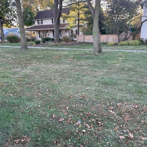 Leaf Removal by Lawnspire reviewed on July 16, 2022