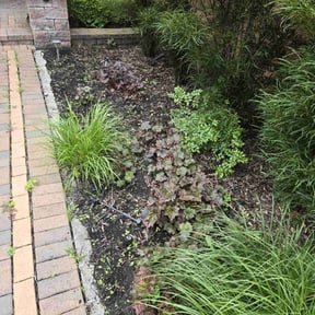 Flower Bed Weeding by Ed's lawn barber reviewed on September 30, 2024