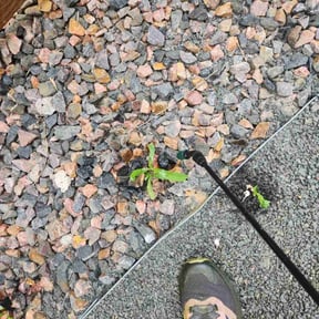 Cleanups by Joel Rojas reviewed on August 30, 2024