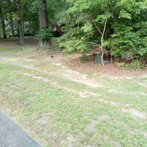 Cleanups by Williams Lawn Care Maintenance reviewed on September 20, 2021