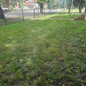 Bush Trimming by Jose&Jose Landscaping reviewed on July 30, 2022
