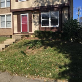 Cleanups by D. Nelsons Lawn Care, LLC reviewed on July 1, 2022