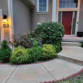 Bush Trimming by Top Turf L.L.C reviewed on June 18, 2022