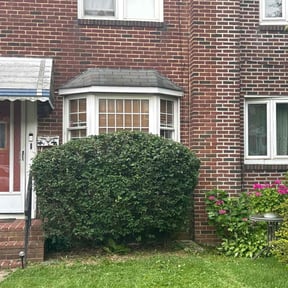 Bush Trimming by Mos Landscaping Service reviewed on June 29, 2022