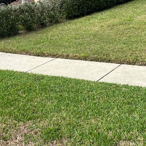 Bush Trimming by Sharp Cutz LLC reviewed on May 5, 2022
