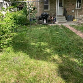 Cleanups by Mowing on reviewed on May 4, 2022