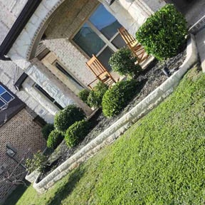 Bush Trimming by Prime property service llc reviewed on March 11, 2022