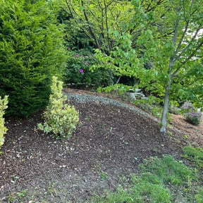 Leaf Removal by Cardos Services LLC reviewed on June 9, 2022