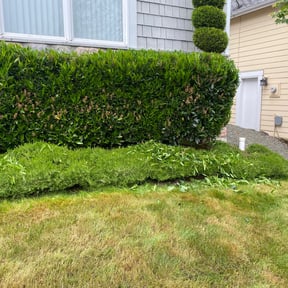 Cleanups by Aqua Lawn reviewed on September 25, 2021
